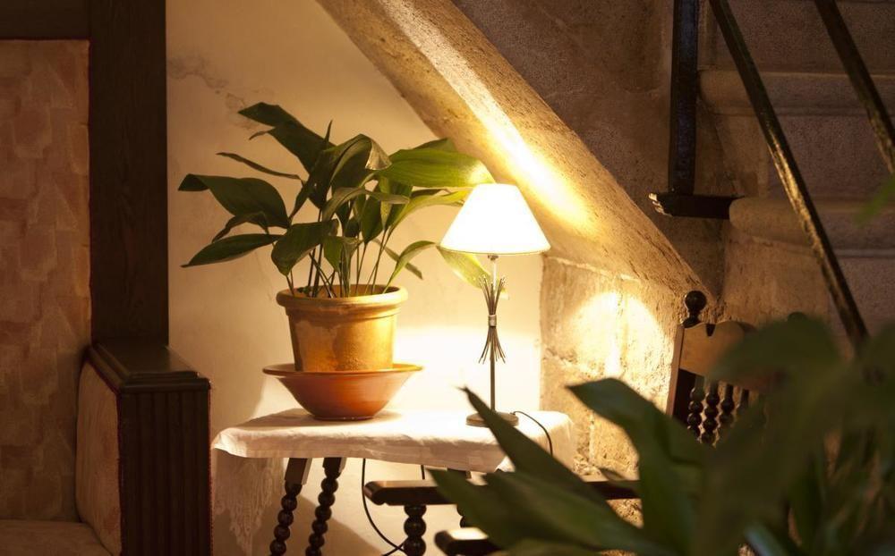 Can Xim-Turismo De Interior Alaró Dış mekan fotoğraf